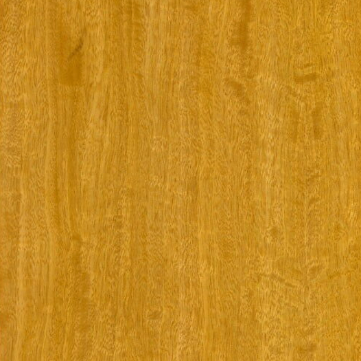 Maple