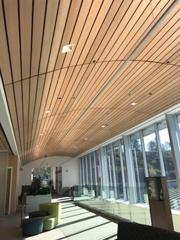Curved Ceiling - Madrid’s Linear Wood at a Vancouver, B.C., clinic