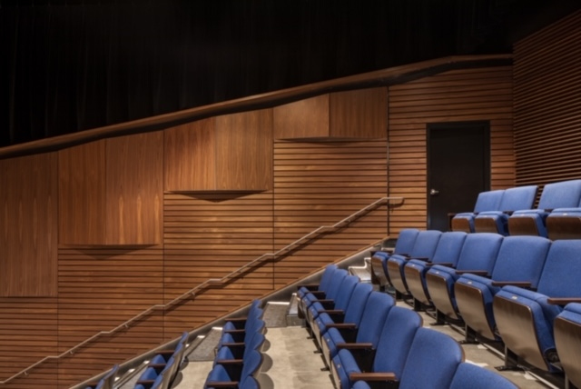 Northern Arizona University - Linear Wood on the walls of a recital hall